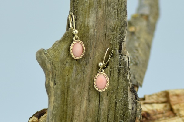 Náušnice DSC 0091 19326