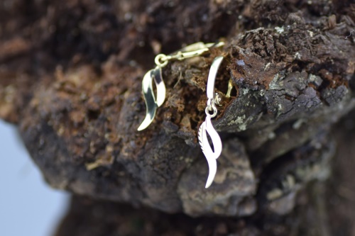 Náušnice DSC 0039 19326