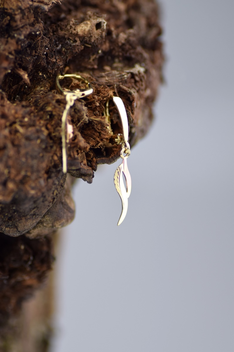 Náušnice DSC 0039 19326